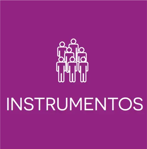 INSTRUMENTOS