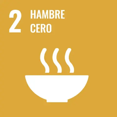 2. Hambre cero
