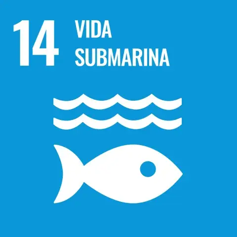 14. Vida submarina